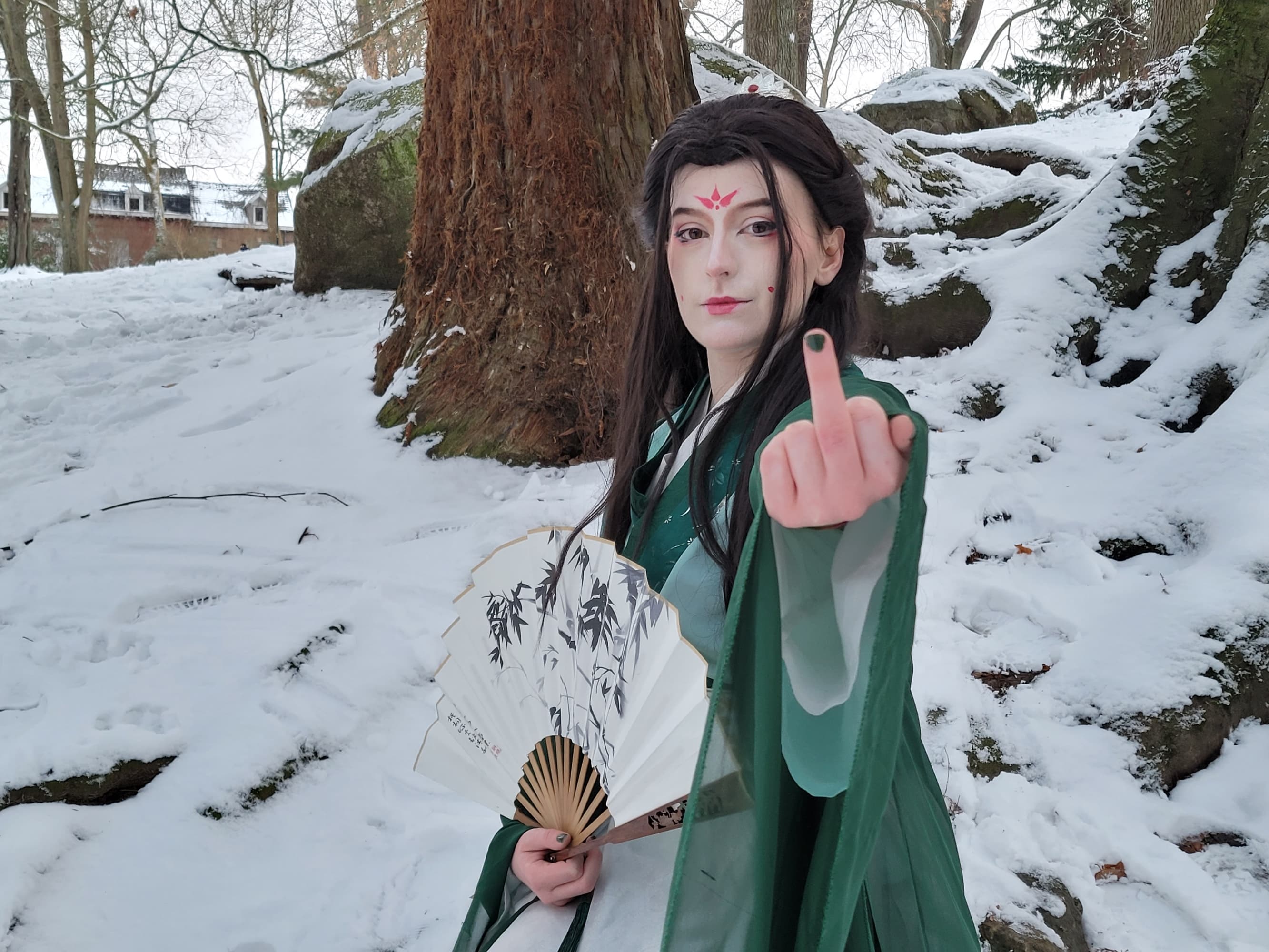 Sous la neige  - Photo 2