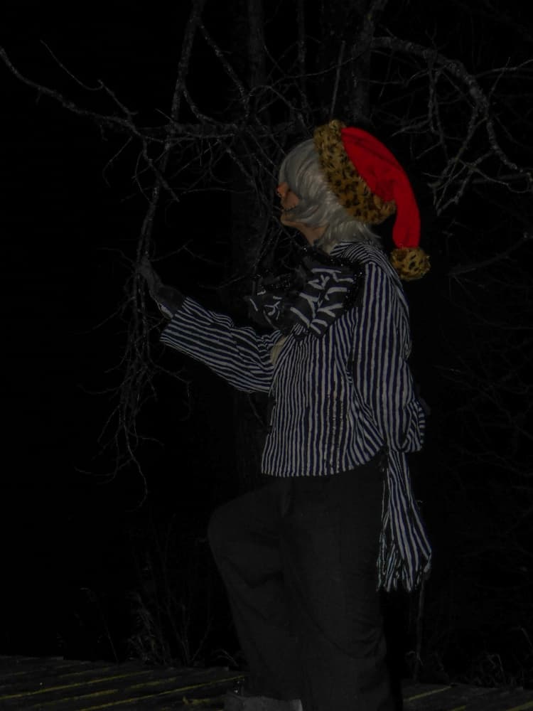 Christmas Jack - Photo 14