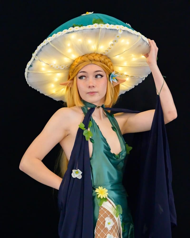 Zelda korogu - Photo 1