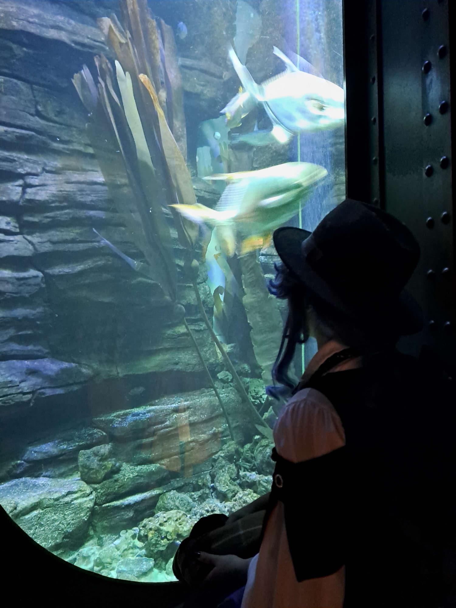 Haloween Layla(2023) - Photo 8