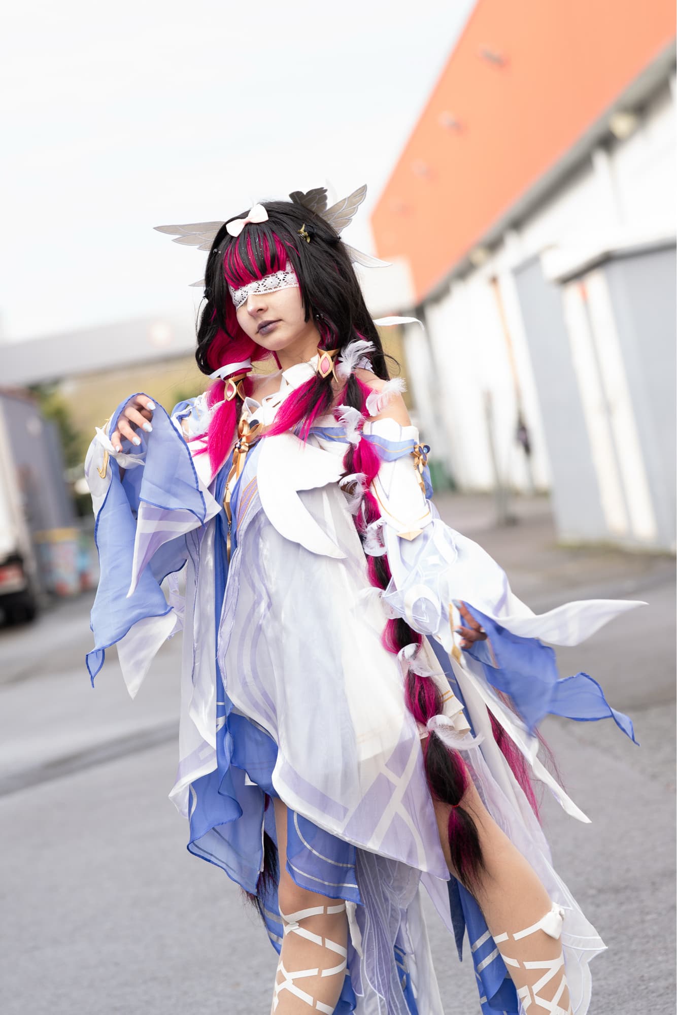 Columbina  - Photo 1