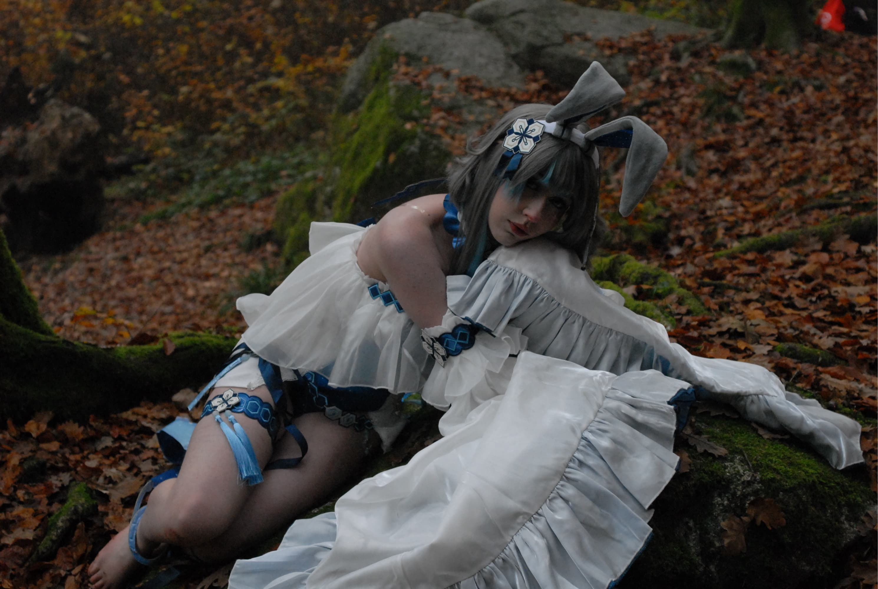 Guizhong Bunny - Photo 10