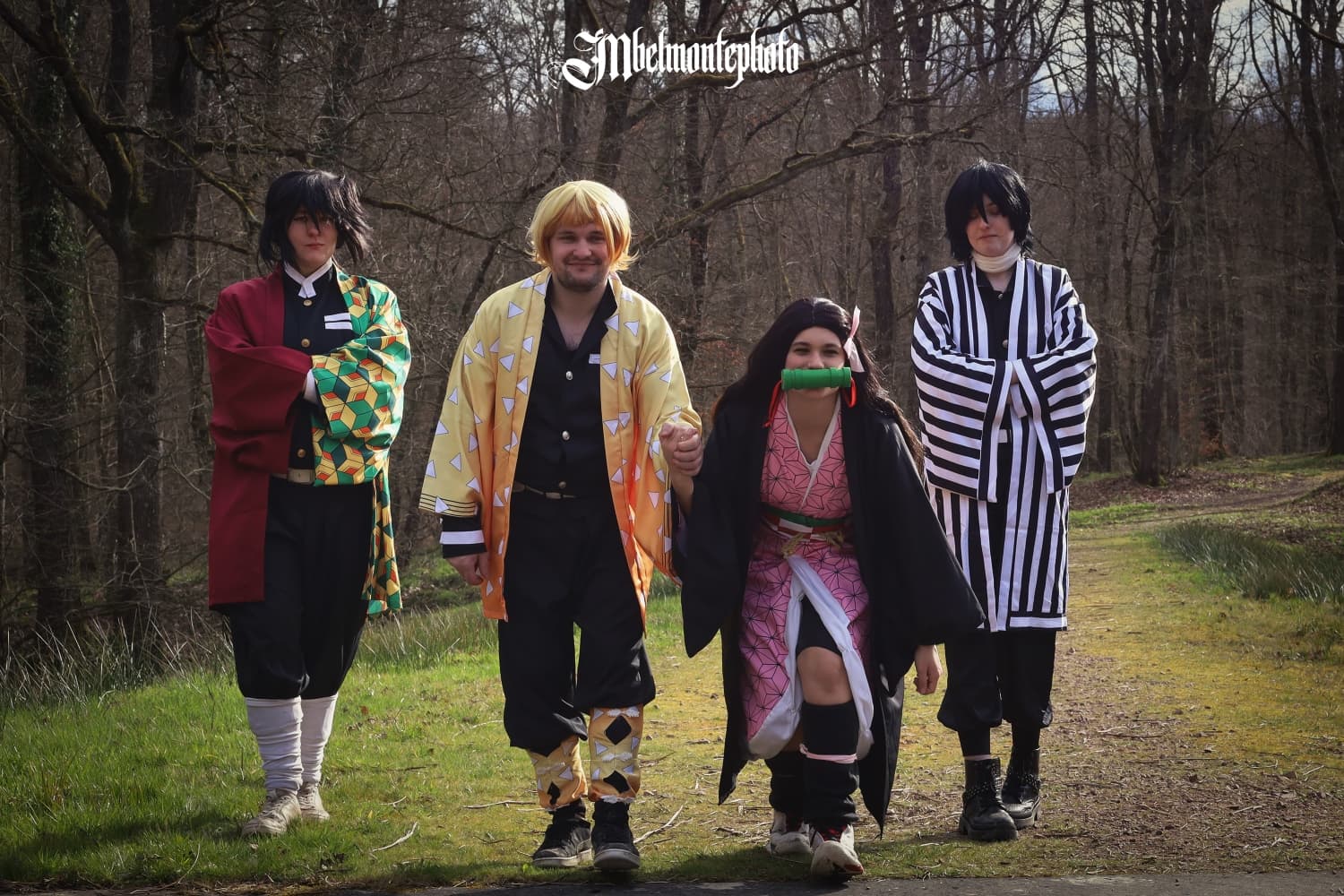 Demon slayer  - Photo 22