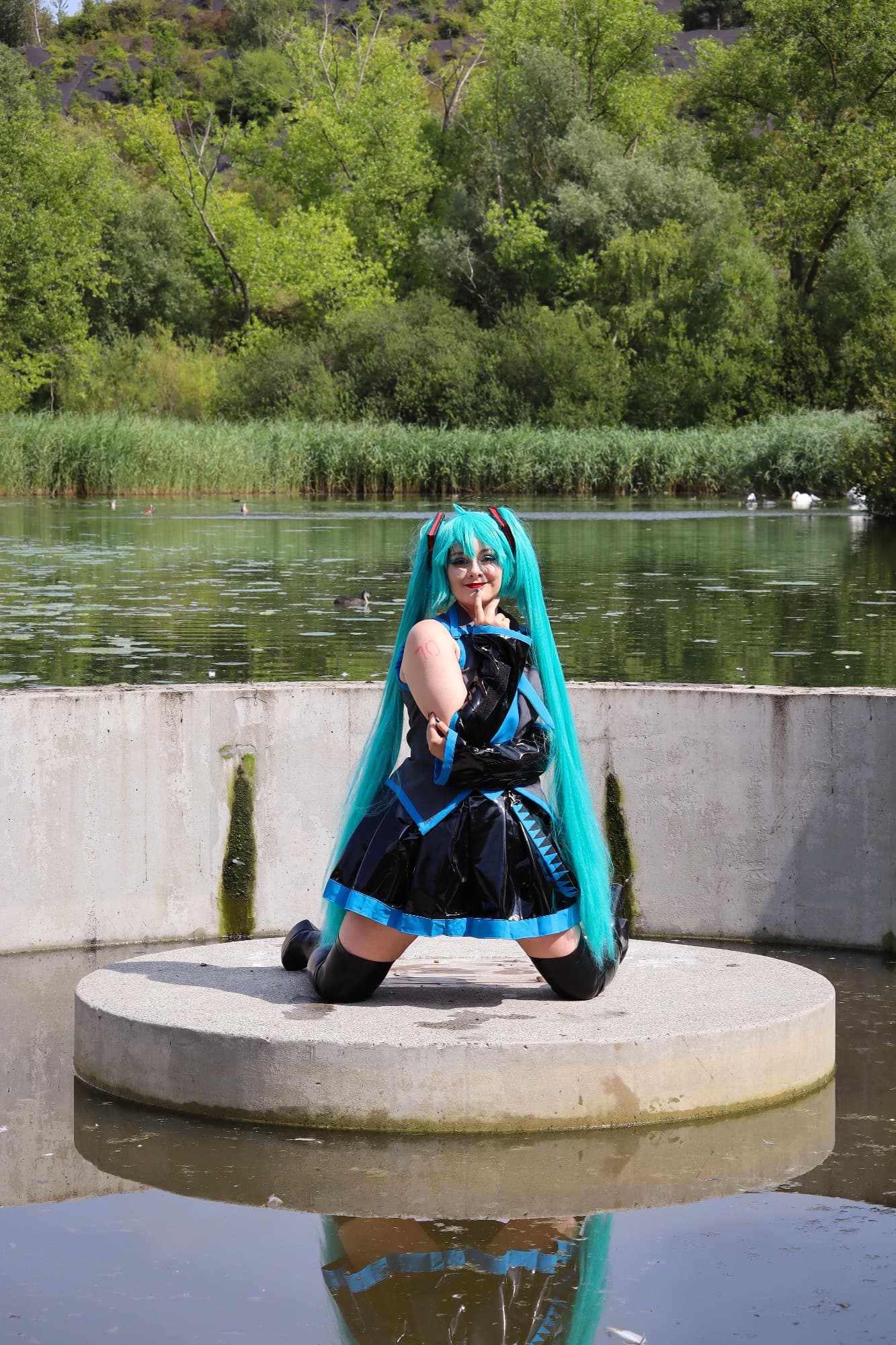 Miku - Photo 7
