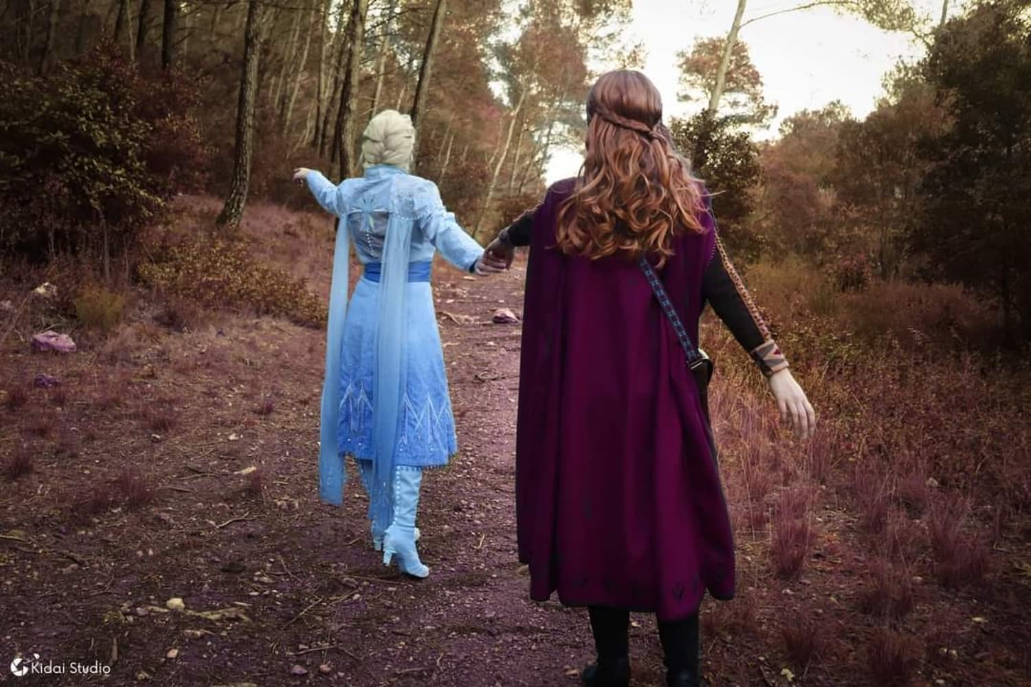 Elsa - Frozen2 - Photo 7