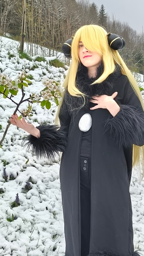 Cynthia (neige) - Photo 3
