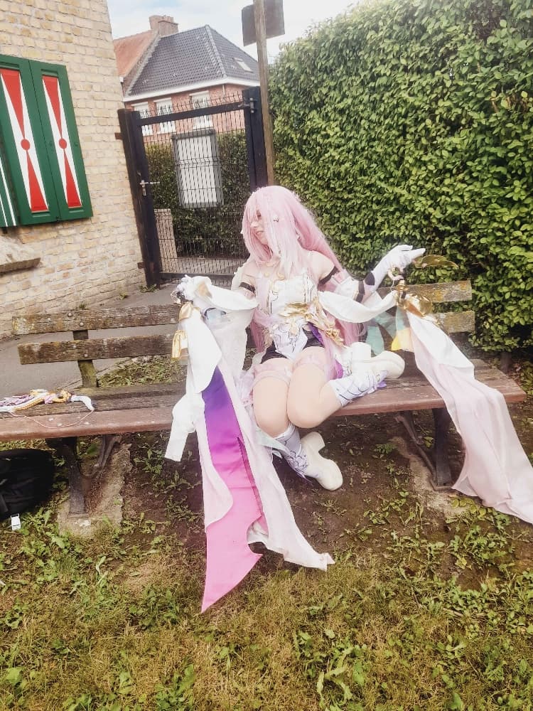 Elysia (Bailleul) - Photo 12