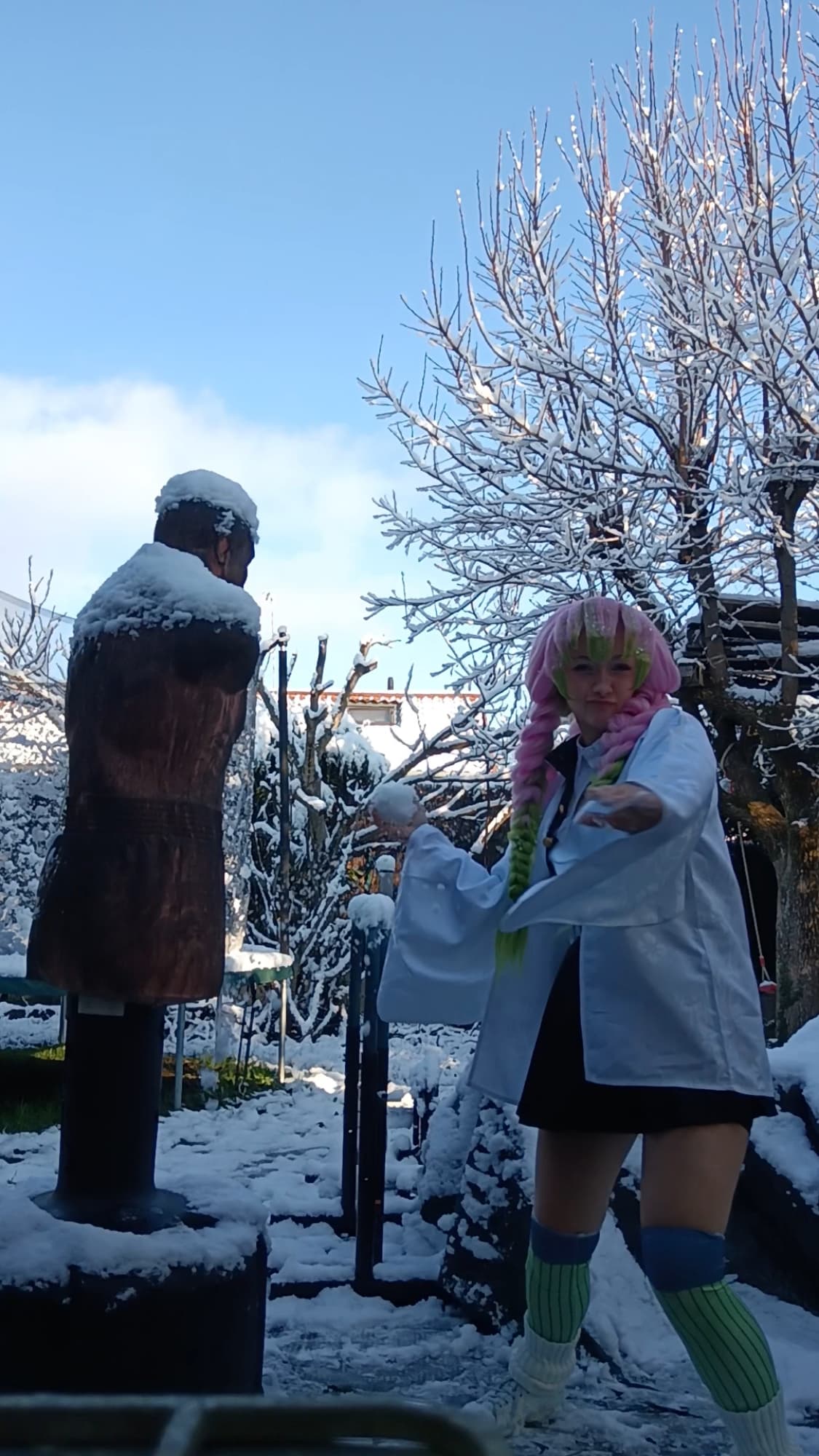 Mitsuri Kanroji - Photo 5