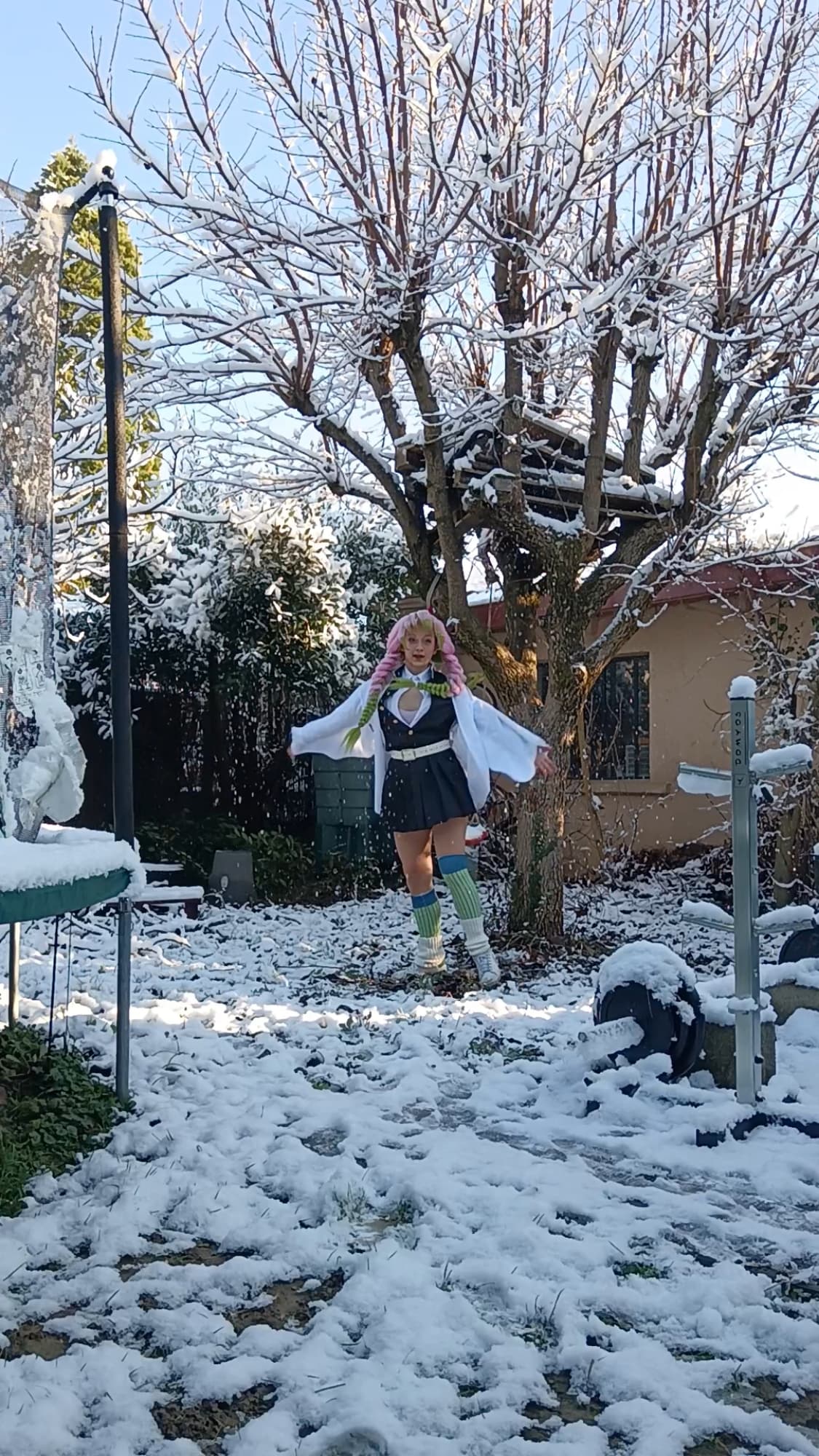 Mitsuri Kanroji - Photo 47