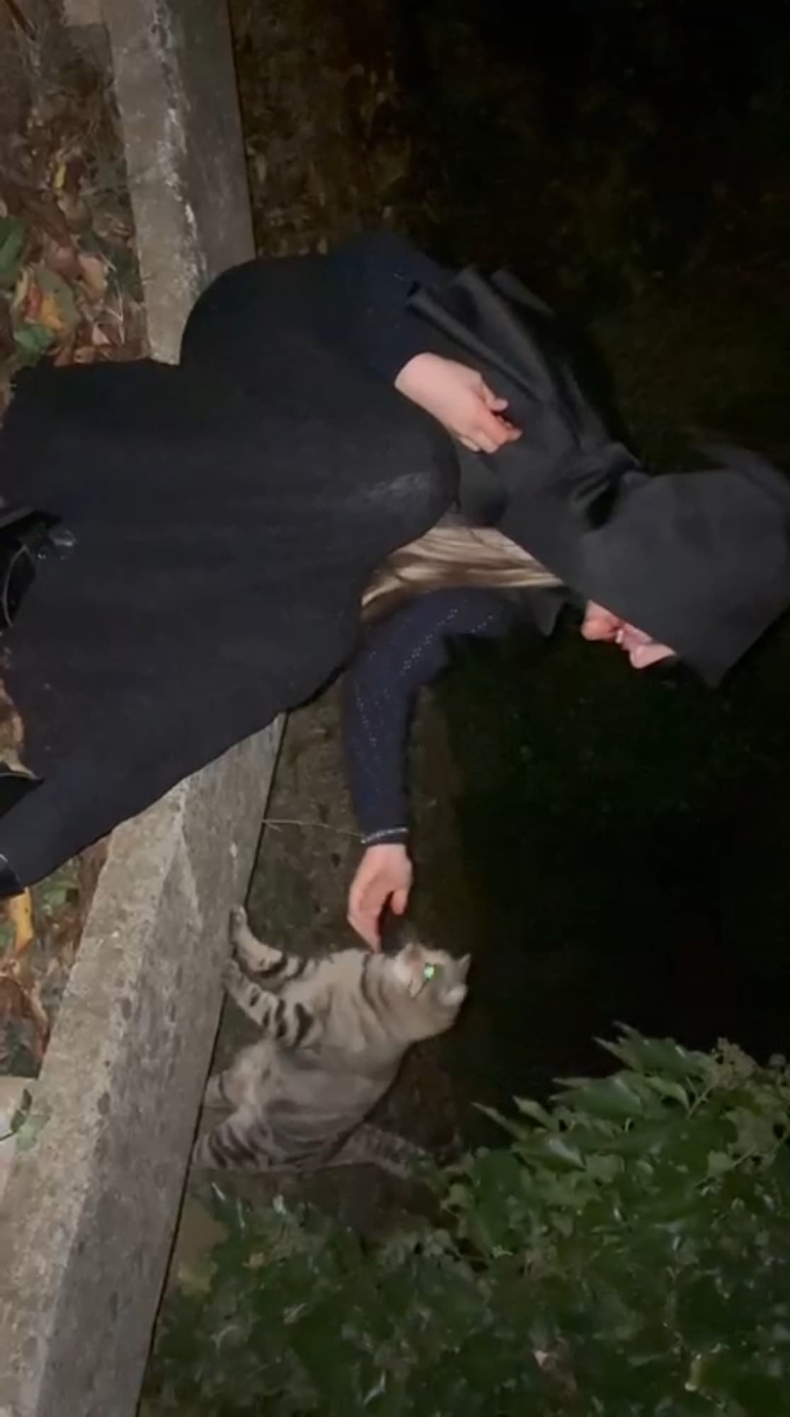 Bela Dimitrescu - Photo 7