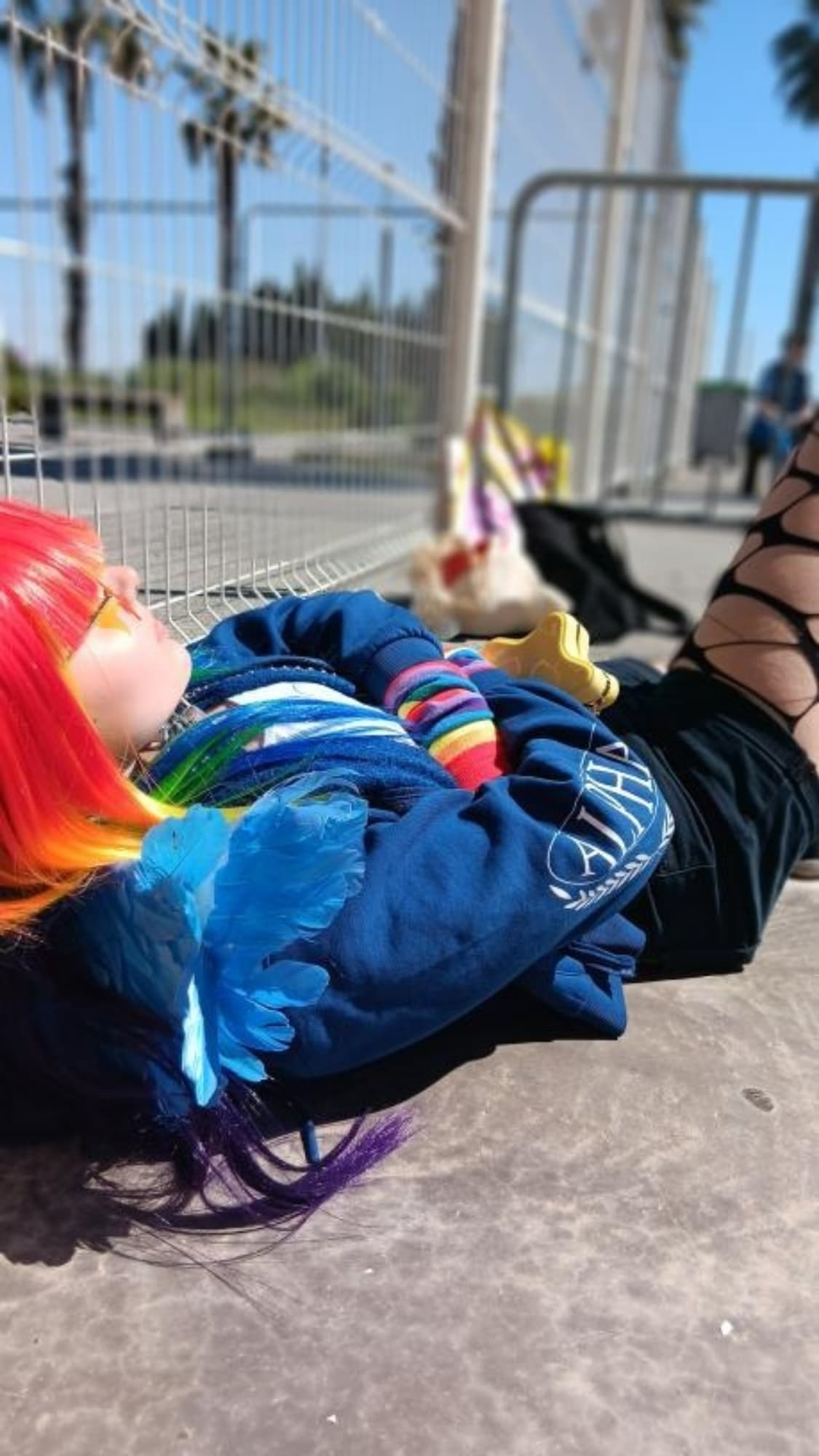 Rainbow Dash - Photo 4