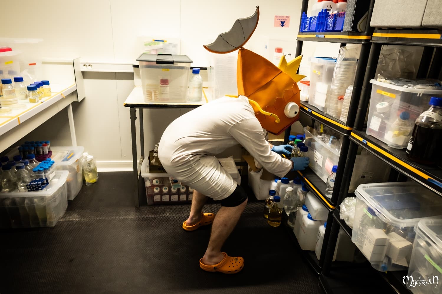 Professor Magicarpe  - Photo 3