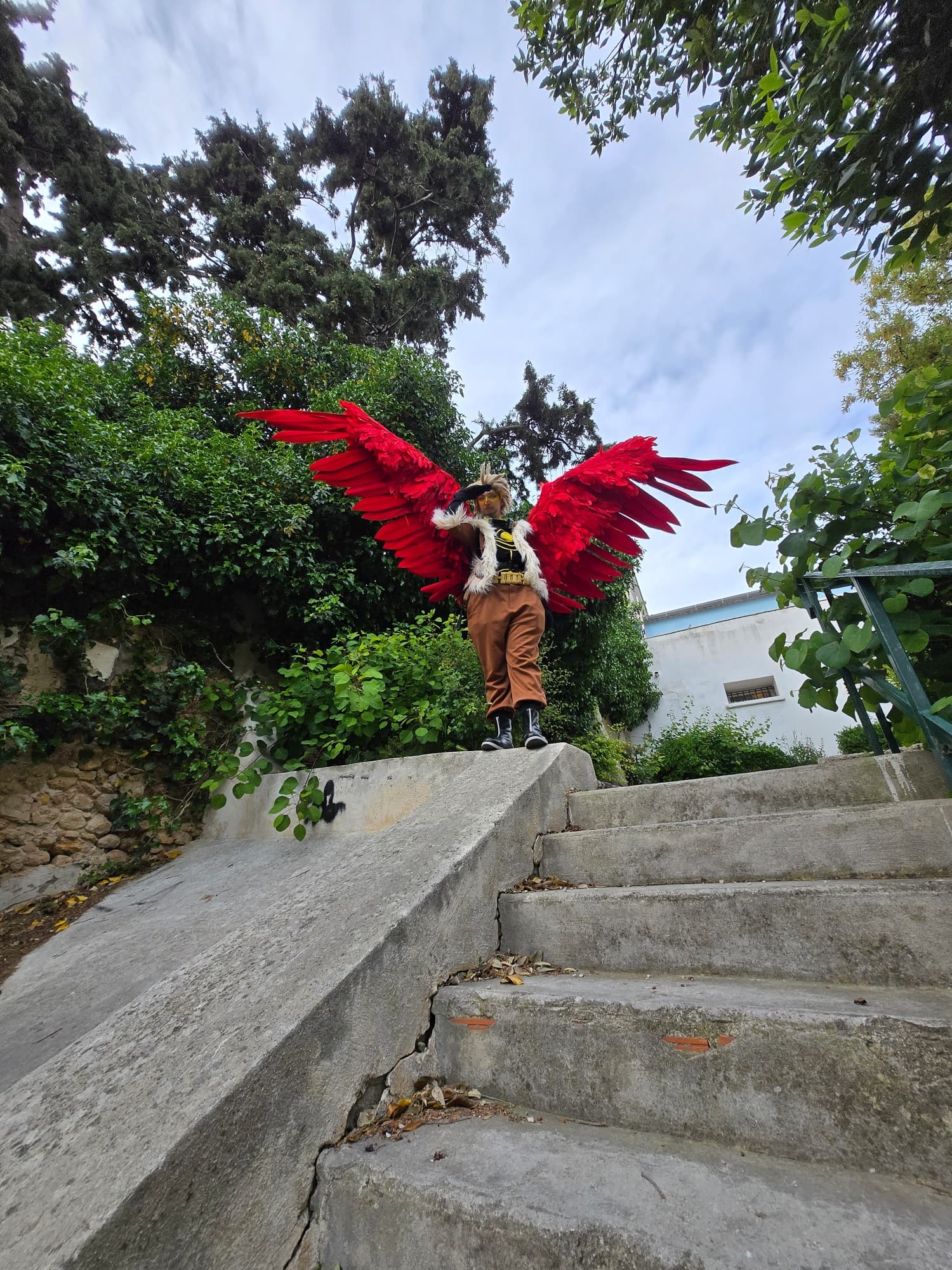 Hawks  - Photo 21