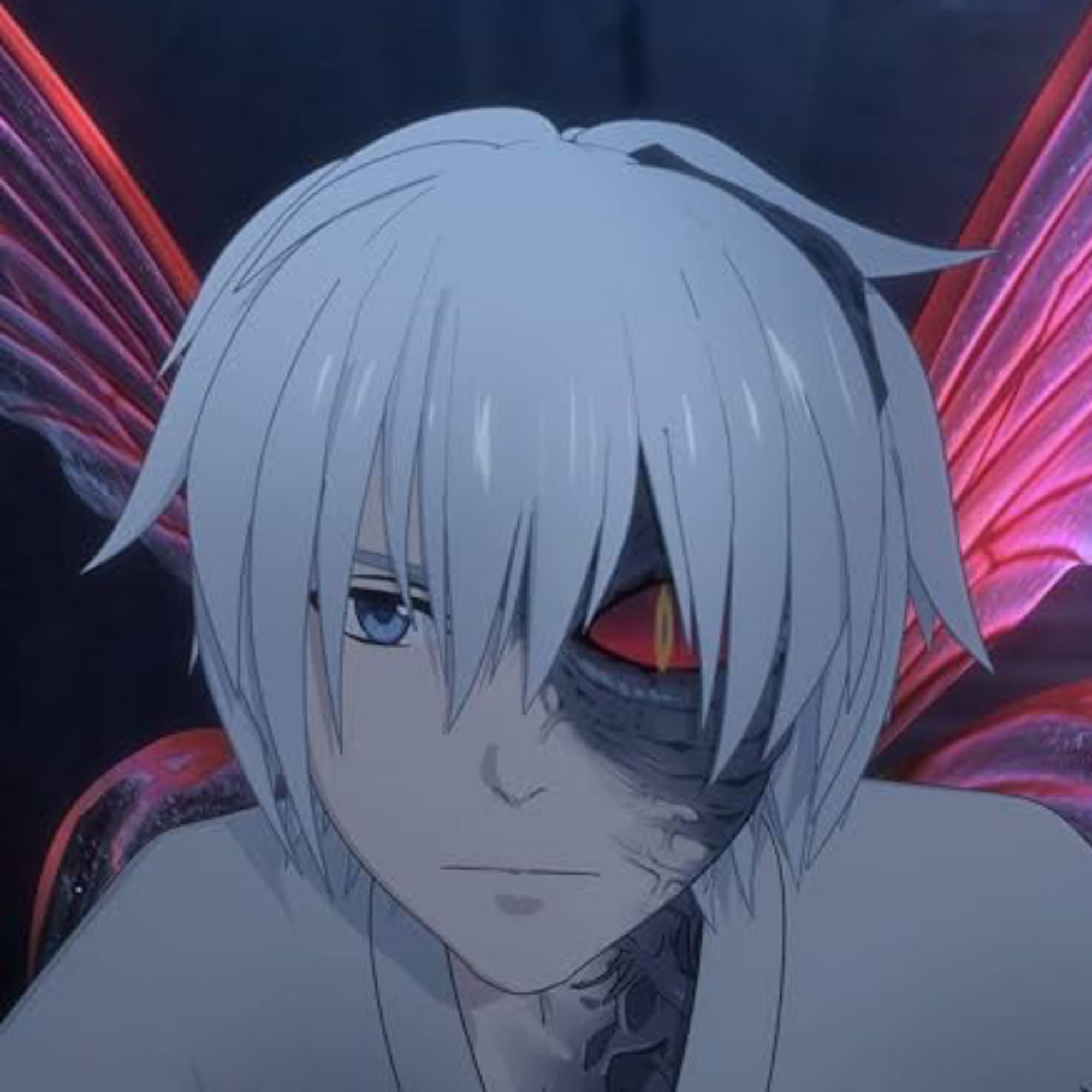 🩵🐜 Acht 🐜🩵