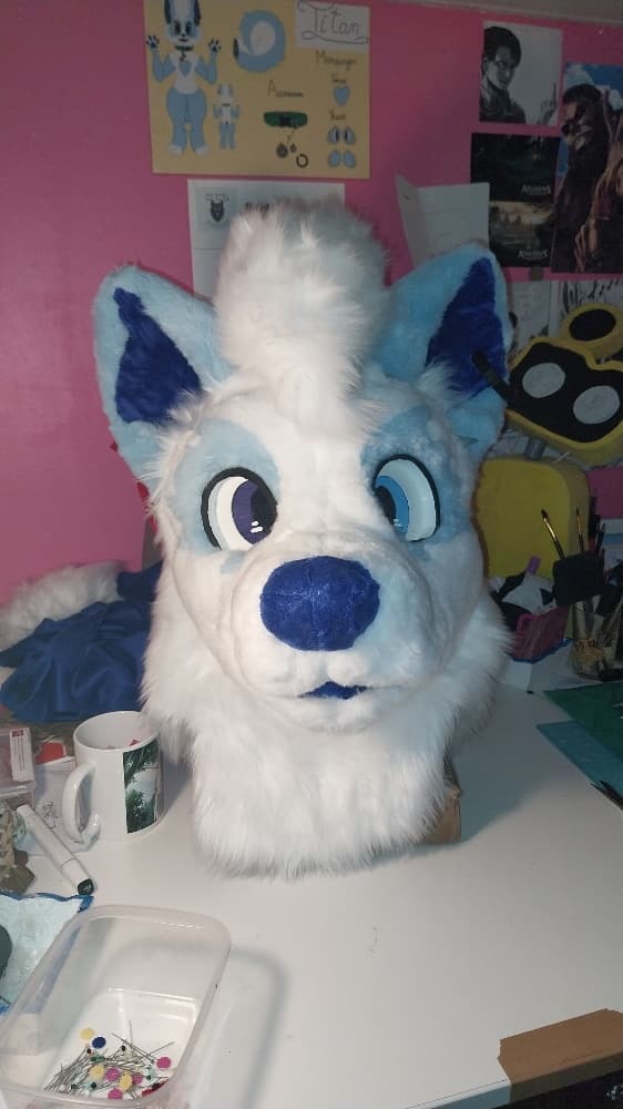 Titan refurb - Photo 5