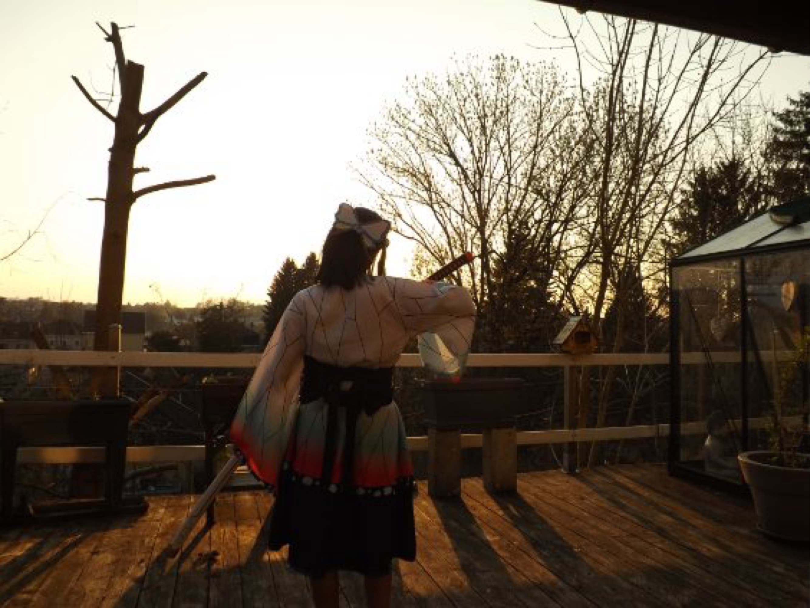 Shinobu kocho  - Photo 9