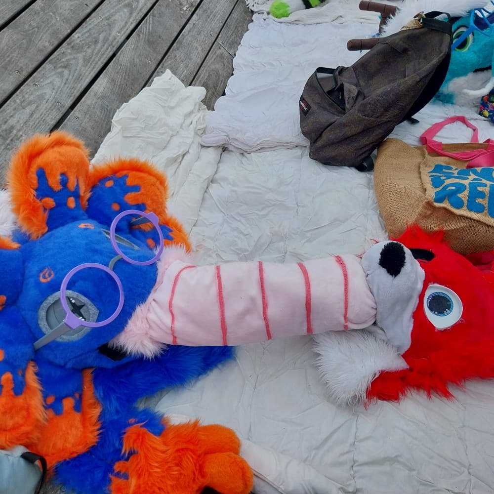 Stellar à japanante - Photo 8