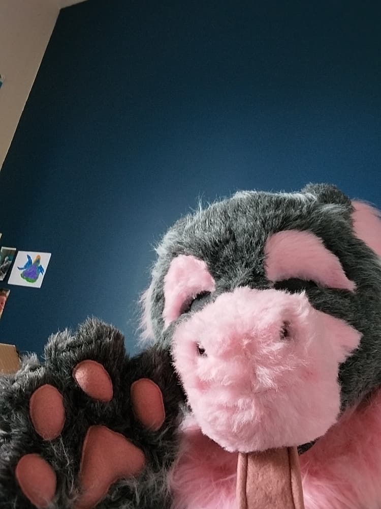 Chaloupinge  - Photo 6