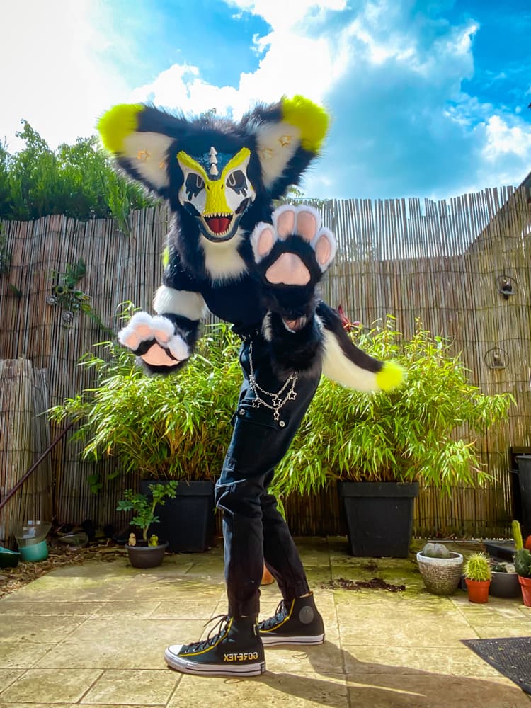 Photos Félix - Photo 8