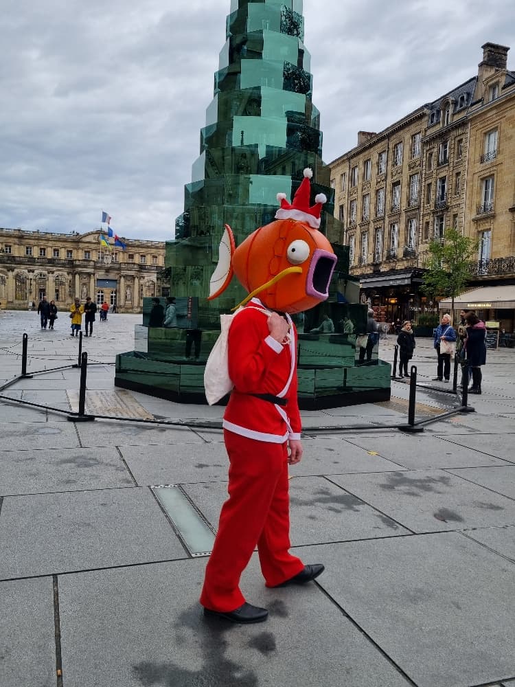 Magicarpe à Noël  - Photo 8