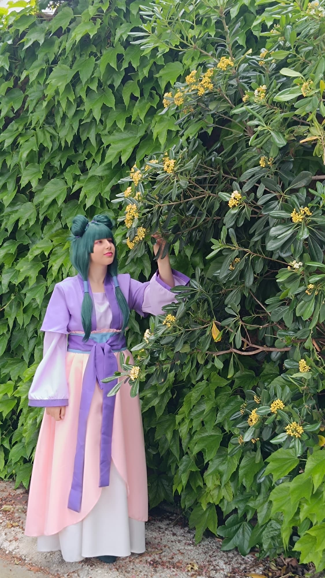 Mao Mao  - Photo 11