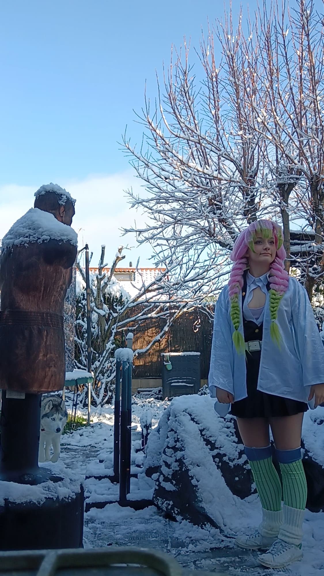 Mitsuri Kanroji - Photo 24