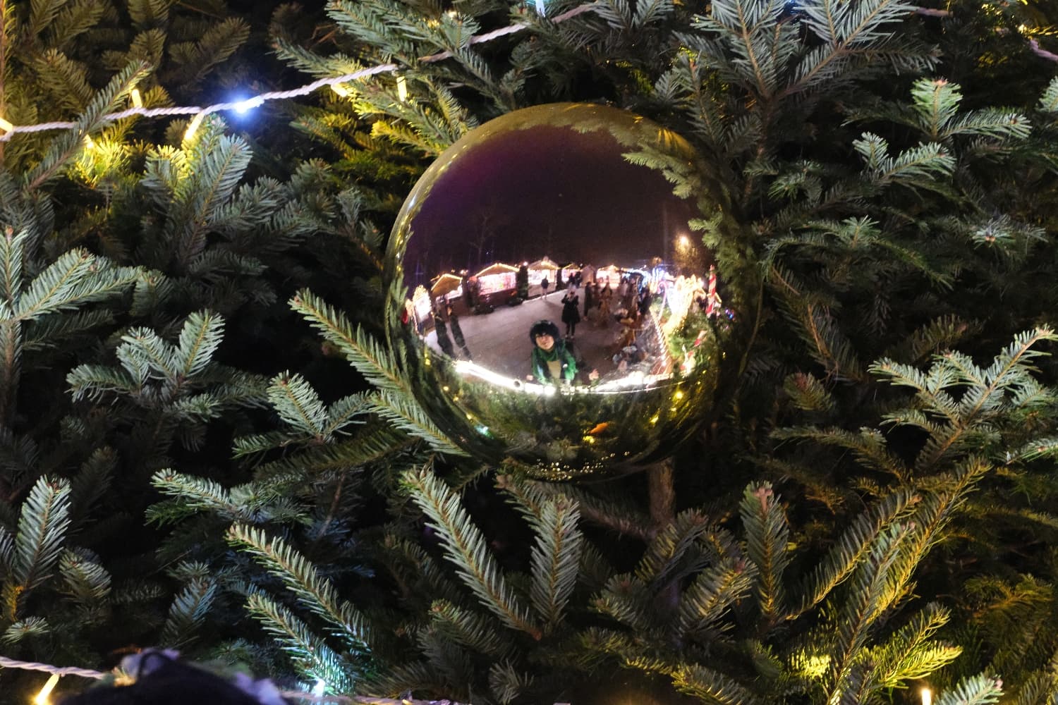 Venti Noël  - Photo 29