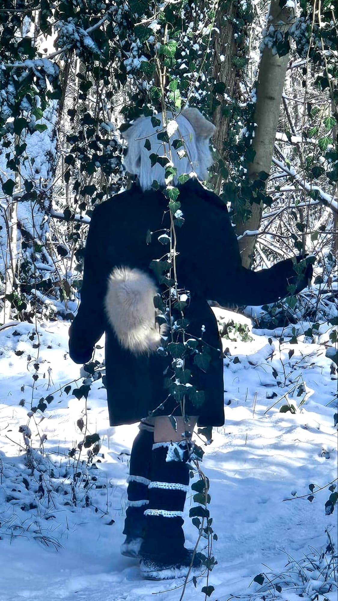 Snow shooting Penny  - Photo 4