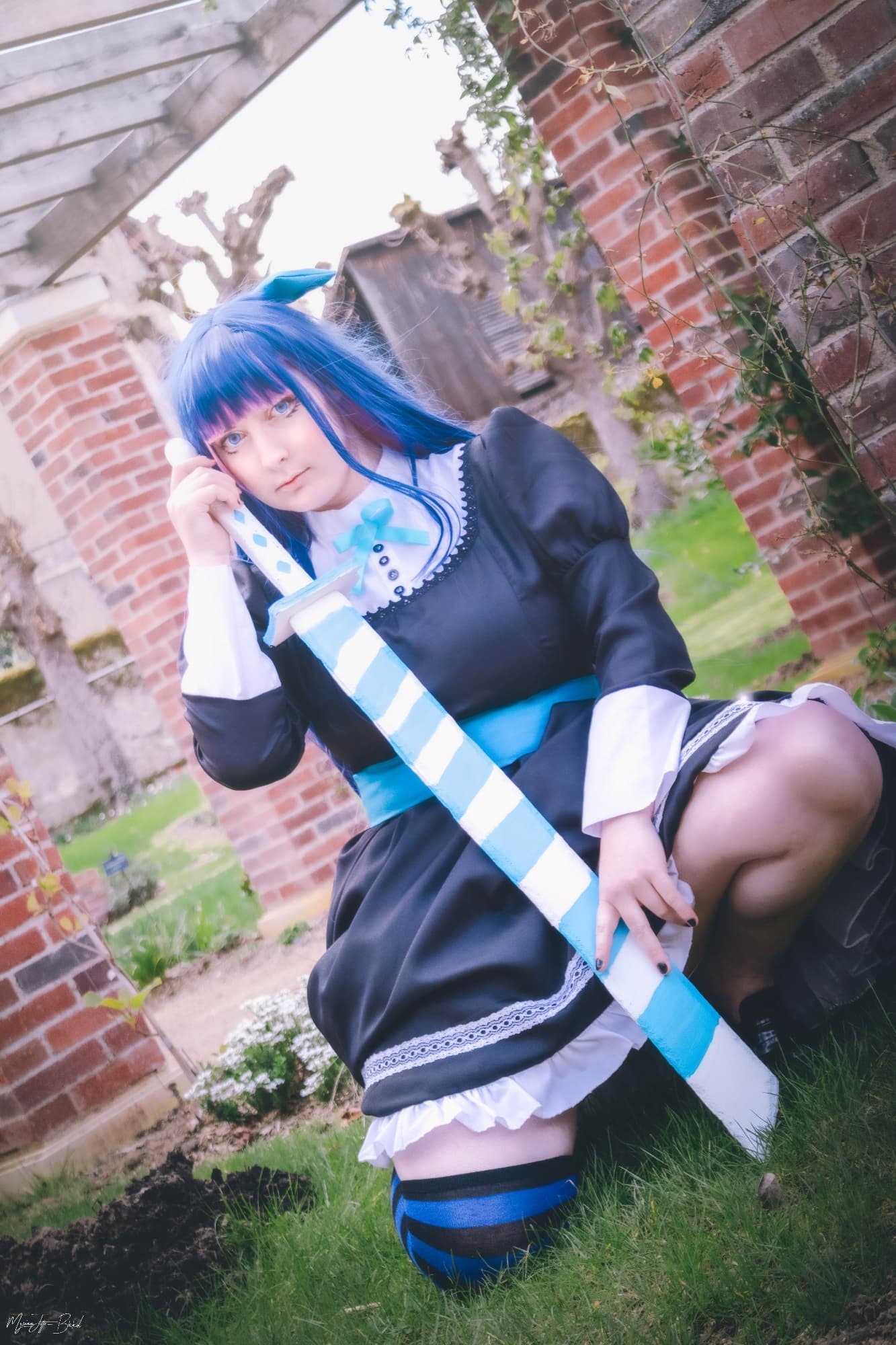 Stocking Anarchy - Photo 3