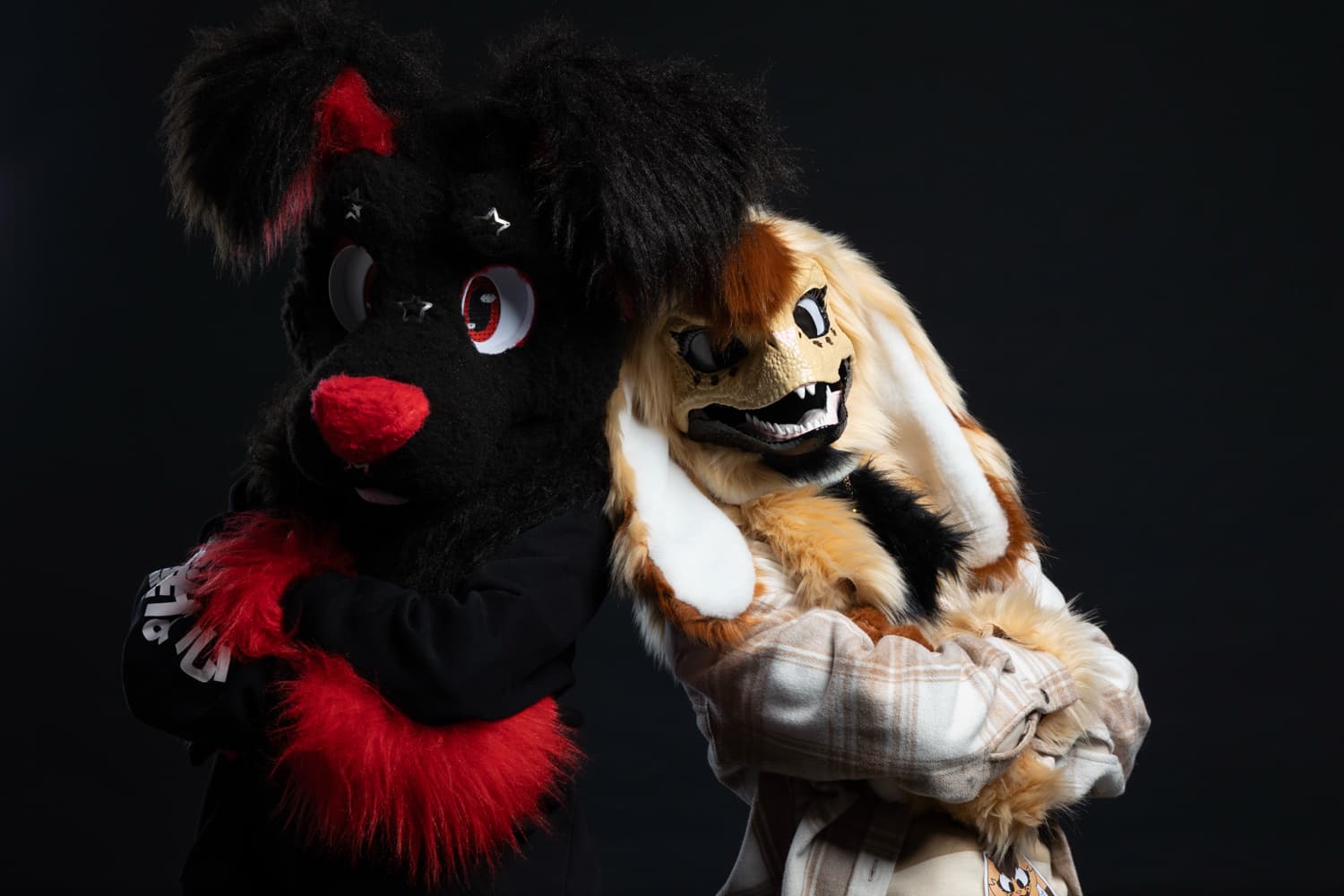 Photos Tapioca - Photo 31