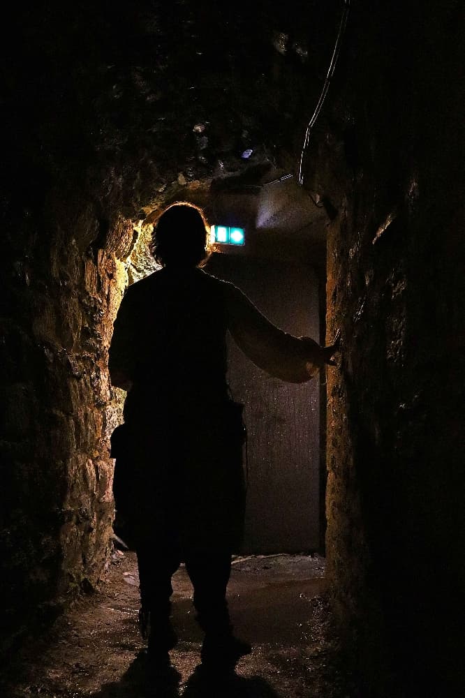 Fémi Rochefort  - Photo 6