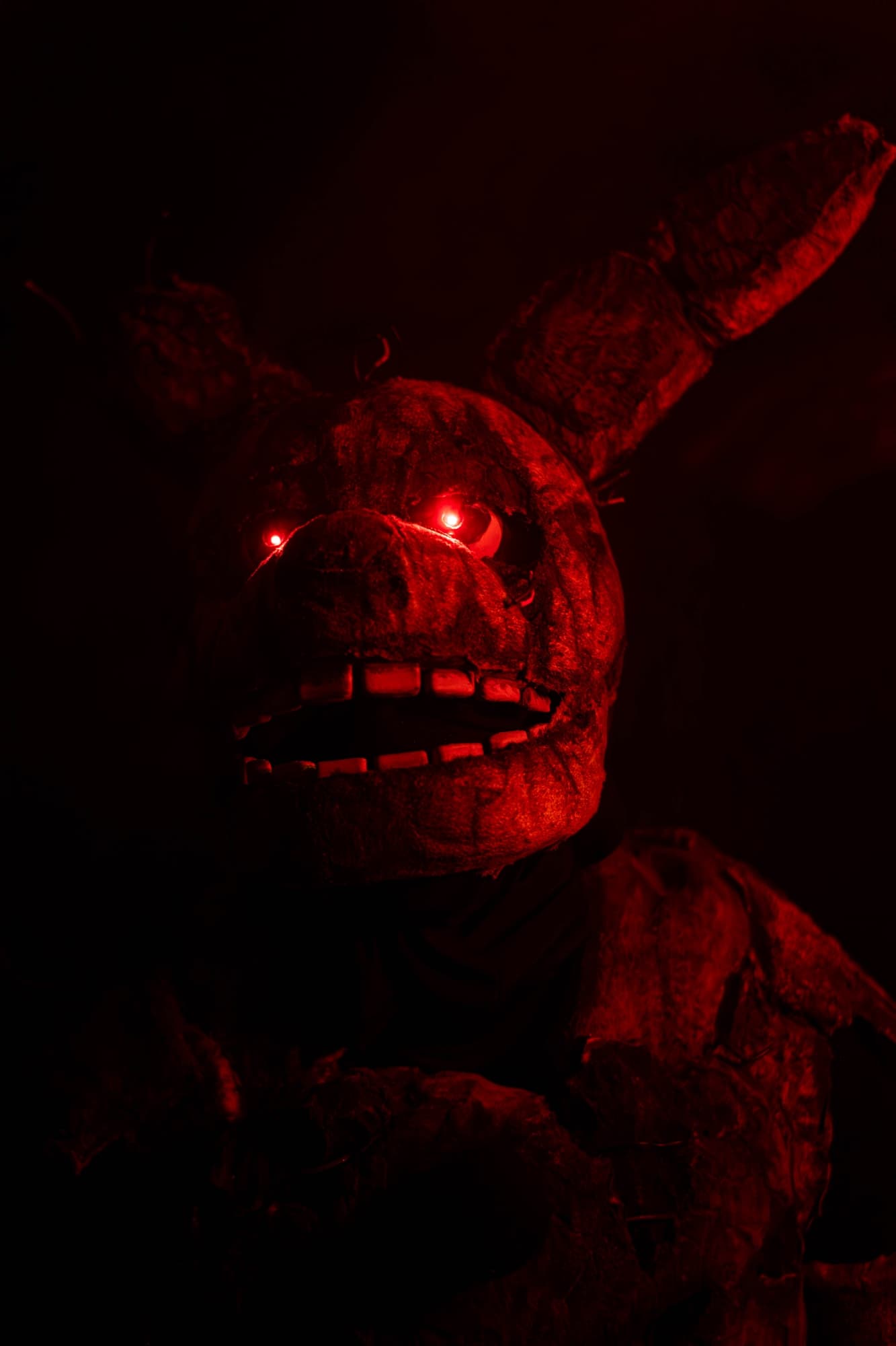 Shoot special - Photo 10