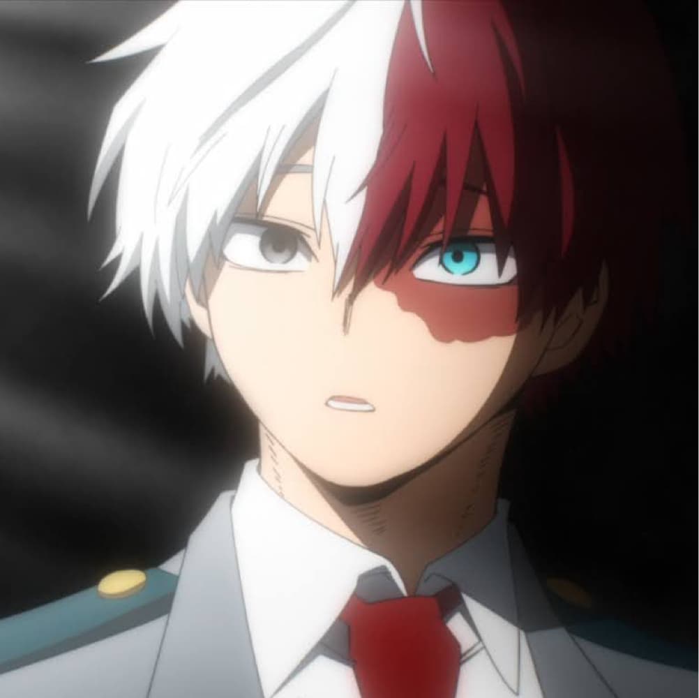 Shoto Todoroki 