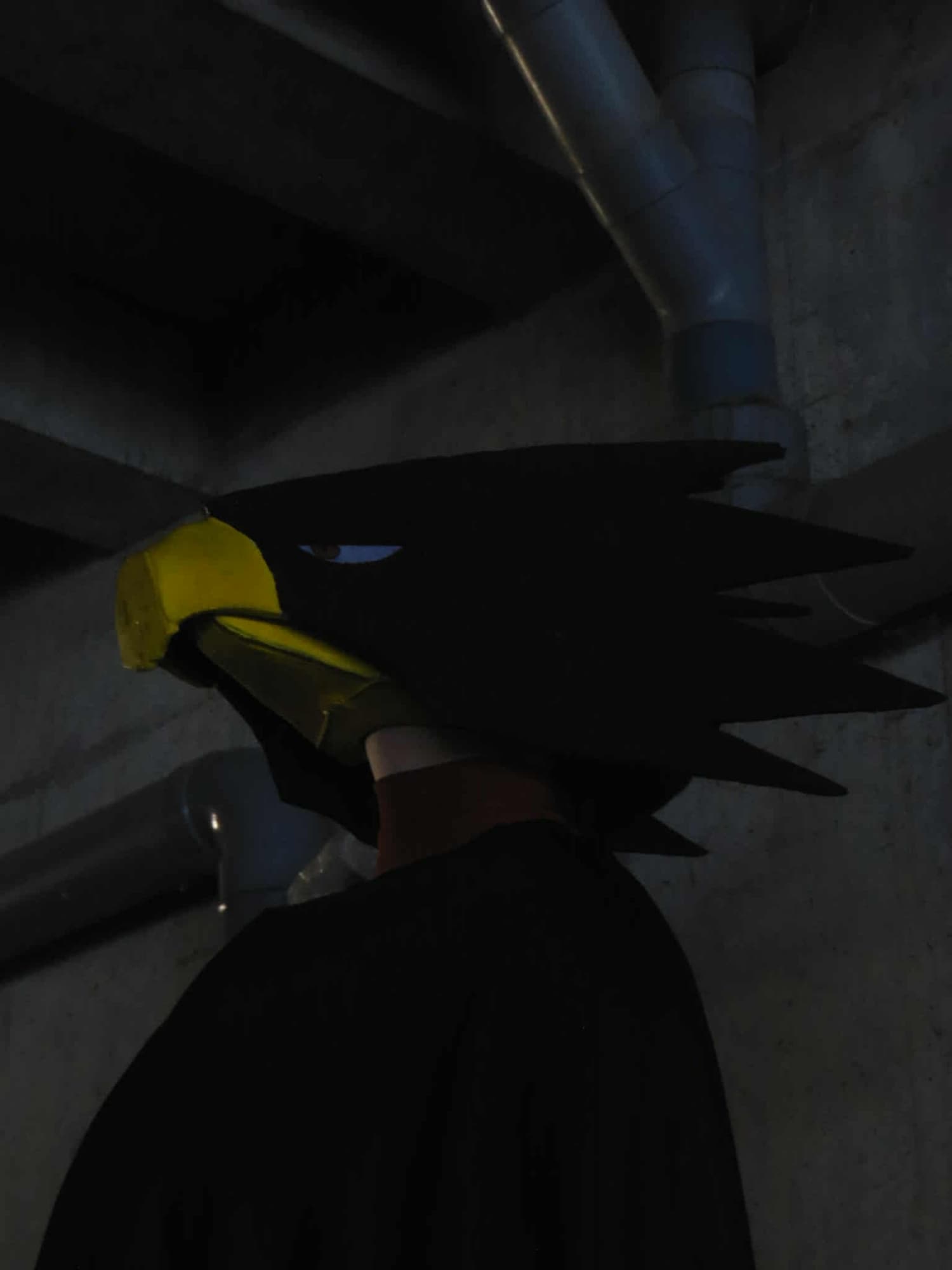 Tokoyami - JapanExpo - Photo 1