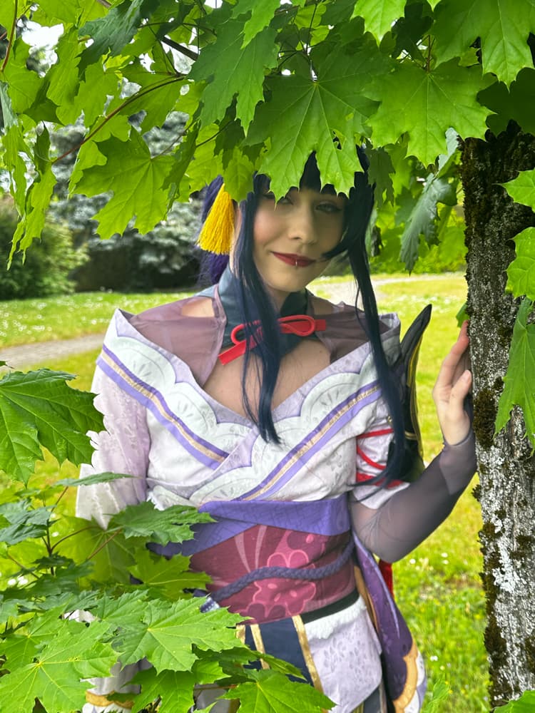 Raiden Shogun - Photo 4