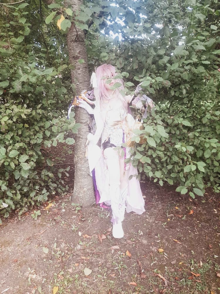 Elysia (Bailleul) - Photo 22