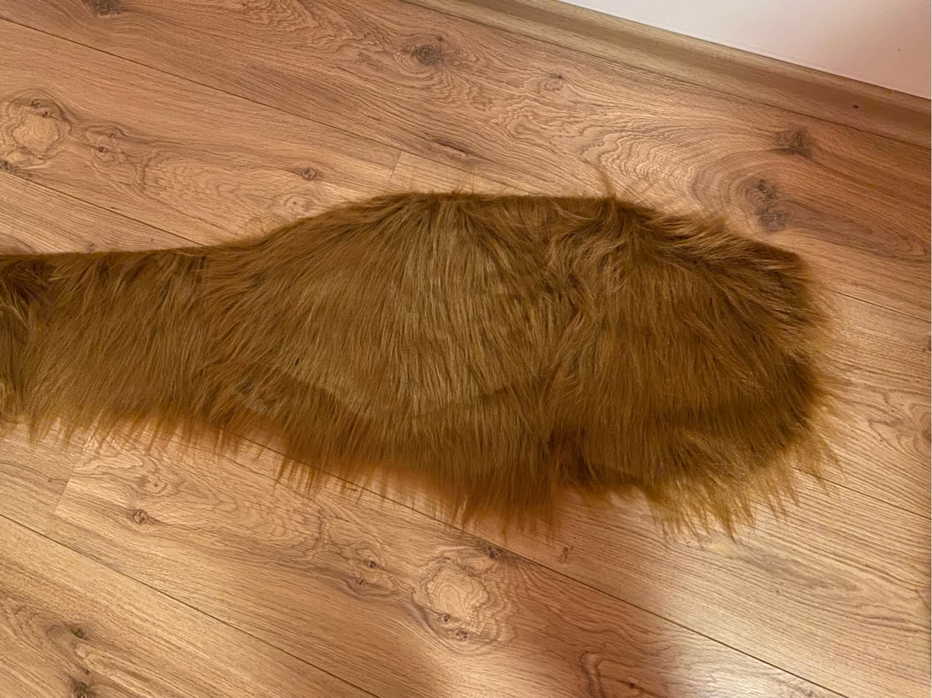 WIP Inosuke - Photo 11