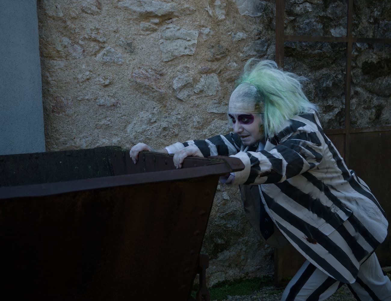 Beetlejuice  - Photo 5
