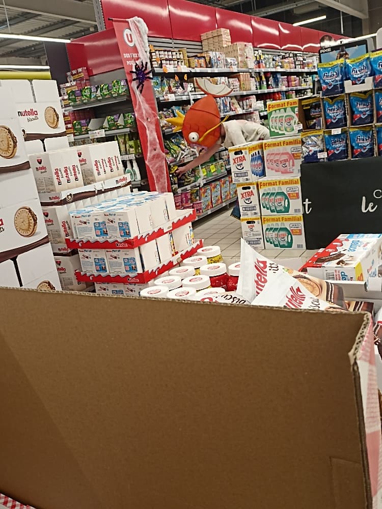 Magicarpe Zombie  - Photo 10