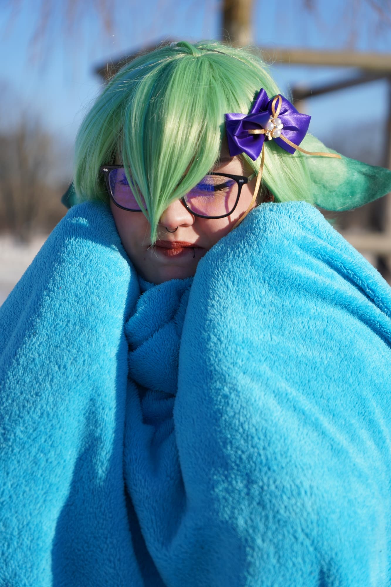 Snow Maid Sucrose - Photo 13