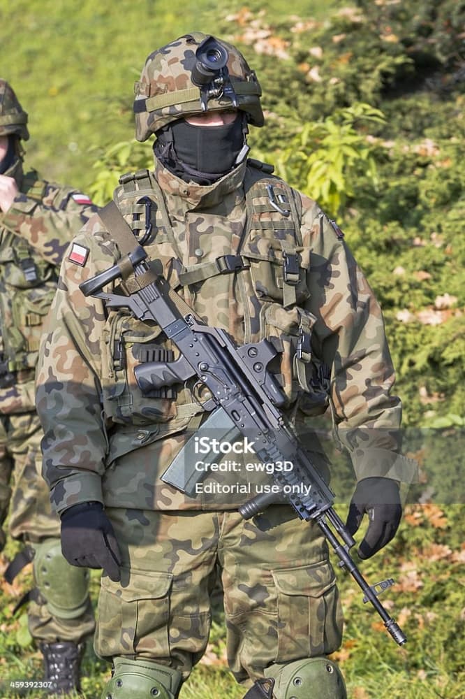 Soldat polonais - Photo 21