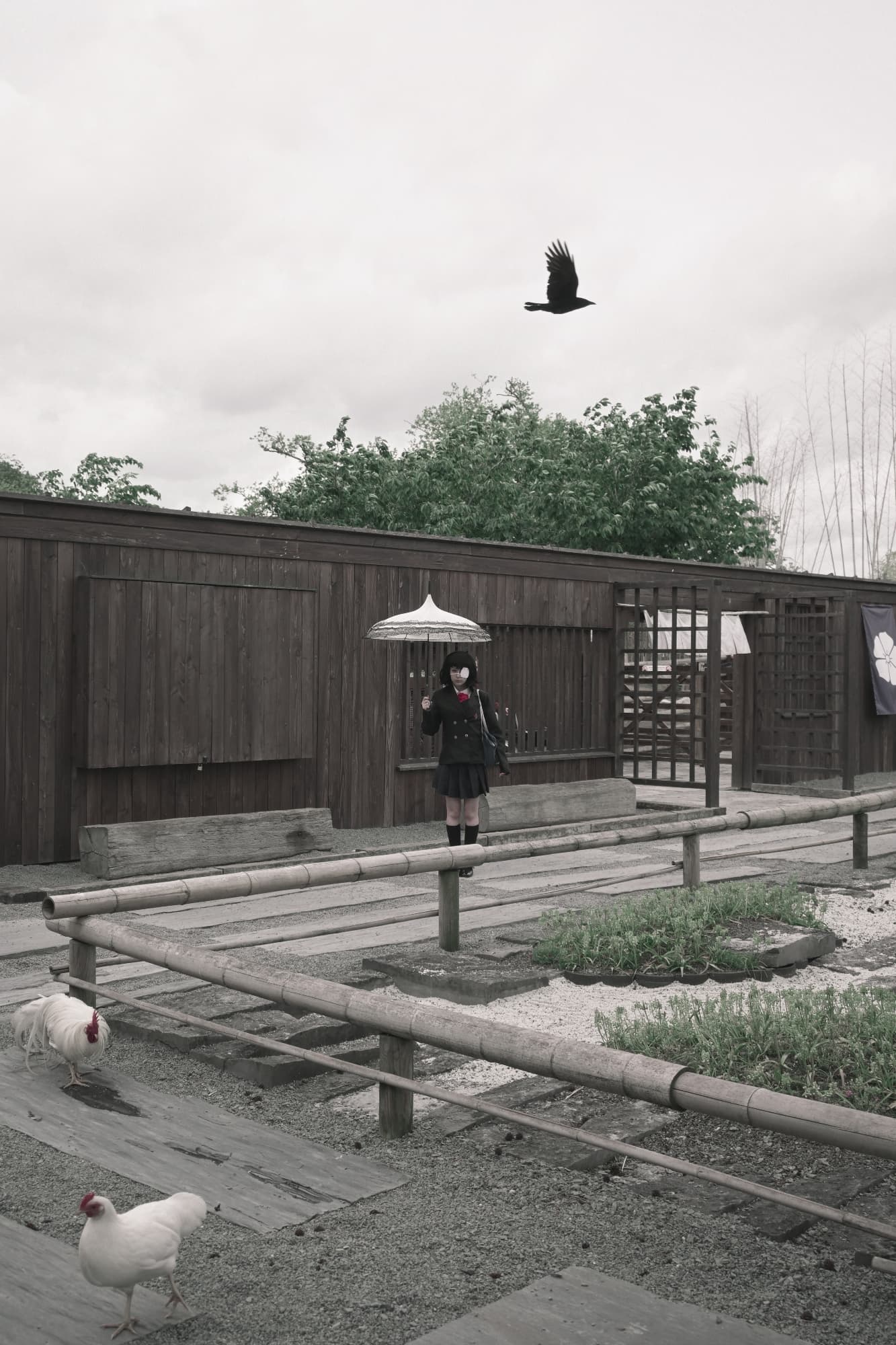 Mei Misaki  - Photo 13