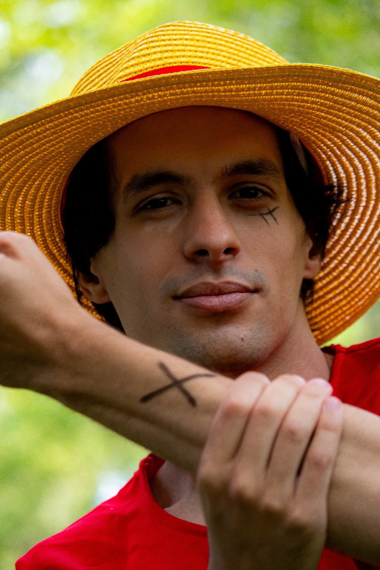 Monkey D Luffy - Photo 2