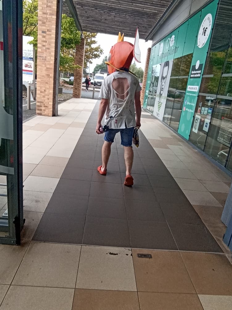 Magicarpe Zombie  - Photo 11