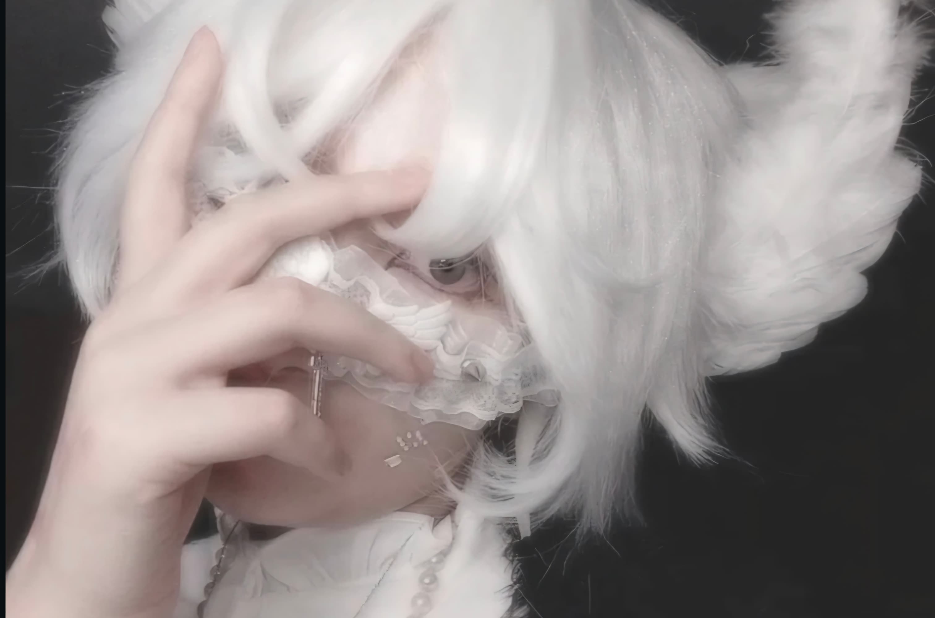 Doughael Cookie - Photo 2