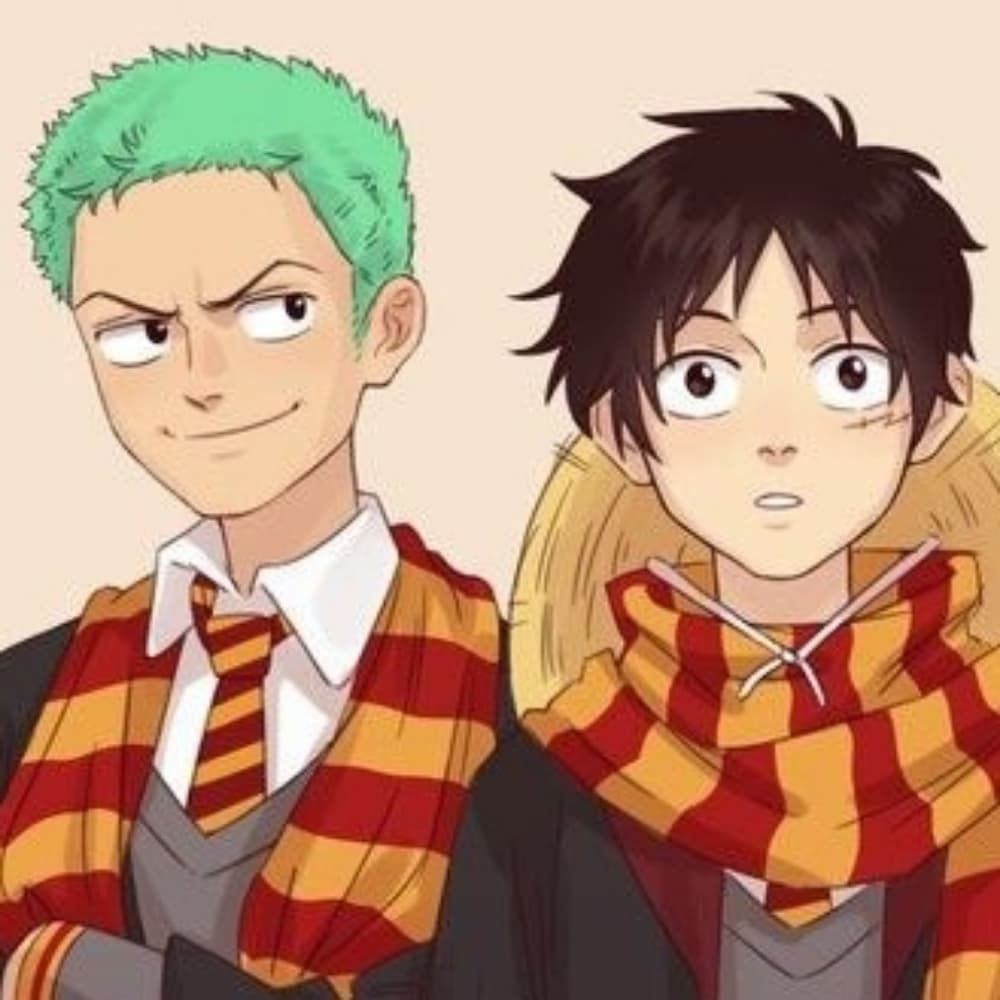 Luffy/Zoro Gryffondor