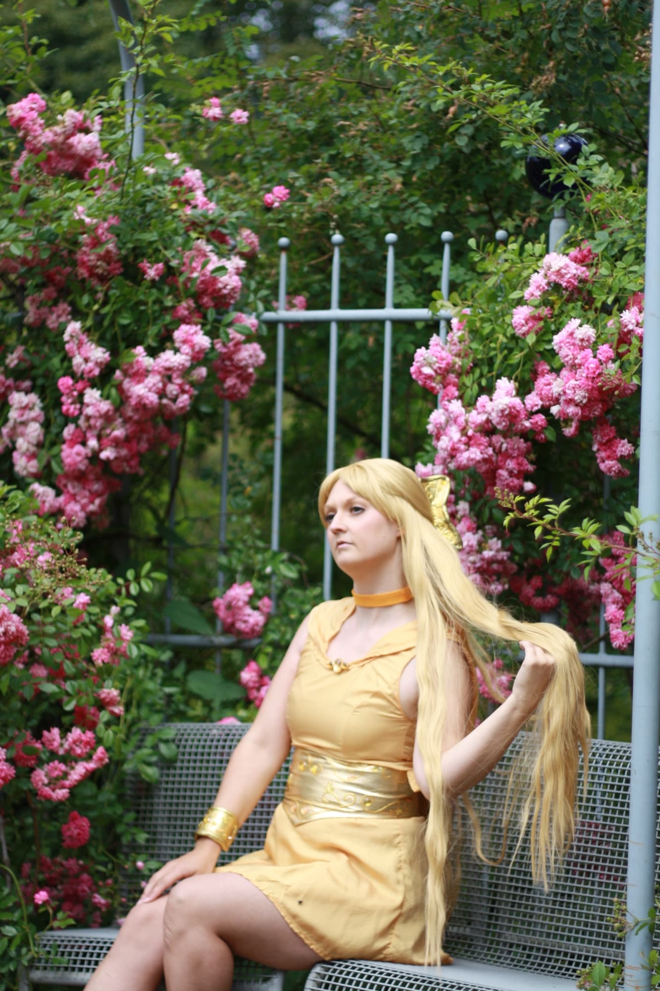 Princess Venus-Anime - Photo 9