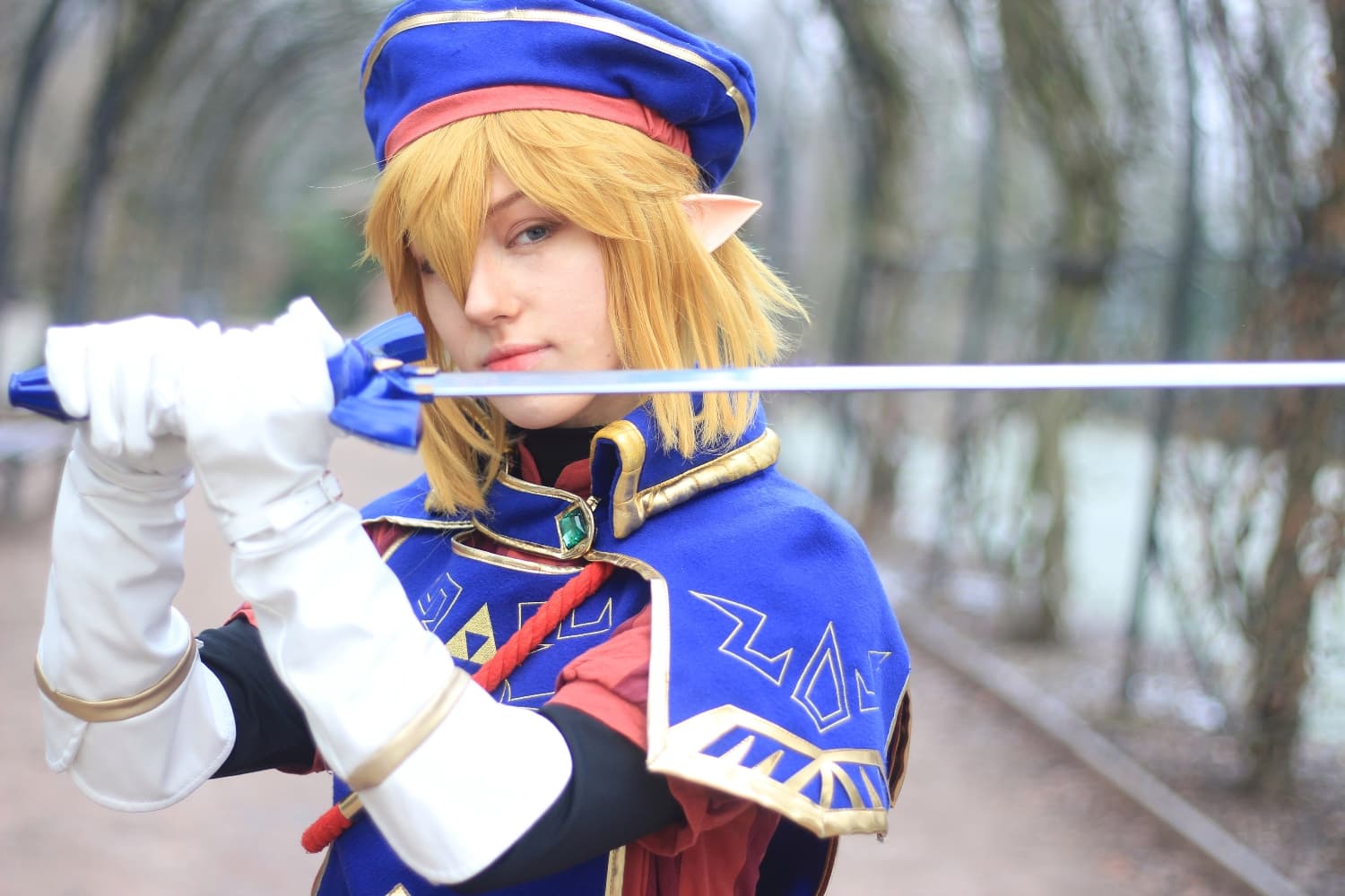 Link royal guard - Photo 8