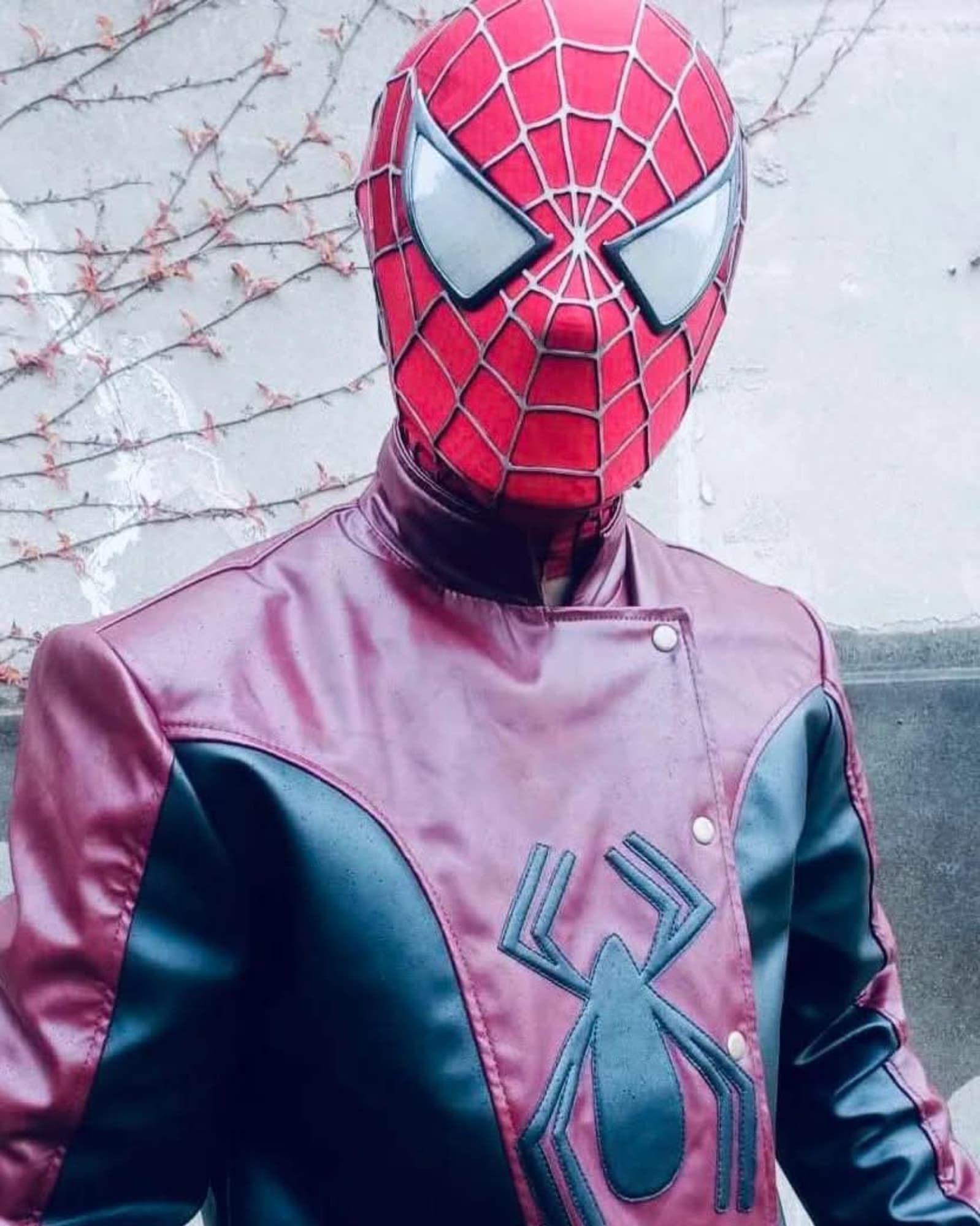 Spiderman Last Stand - Photo 2