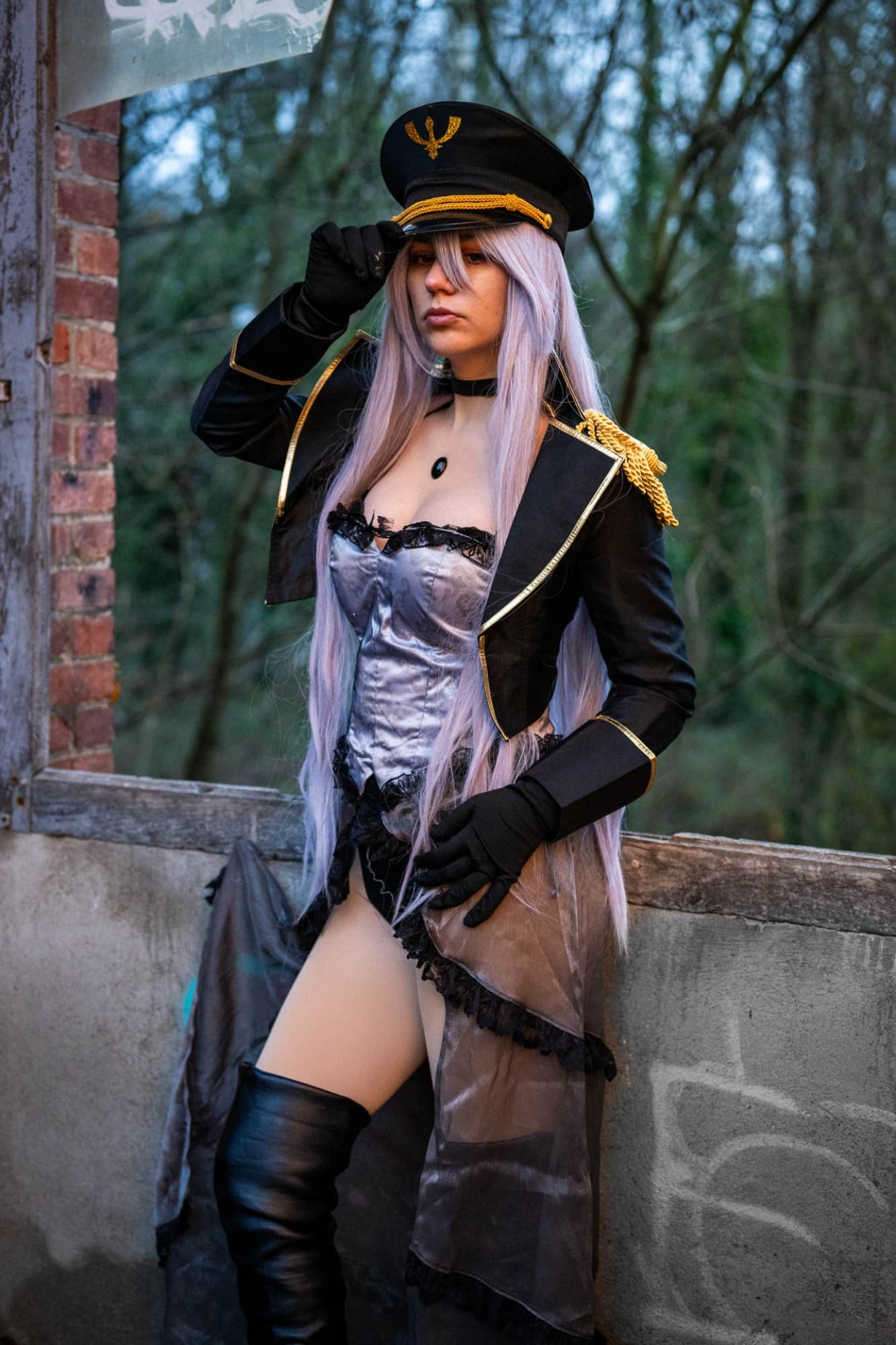 Black lobelia  - Photo 1